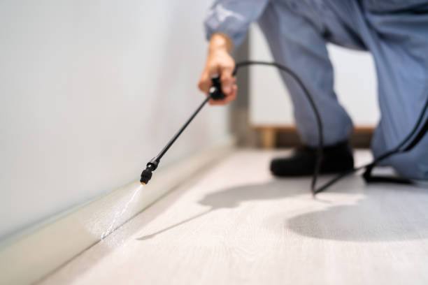 Licensed Pest Control service in Windsor, VA - Show Me Pest Control