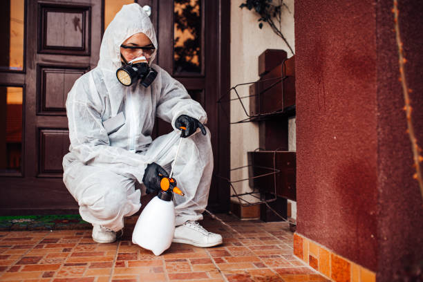 Attic and Crawl Space Rodent Treatment in Windsor